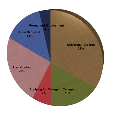 Graduate Pie chart.jpg